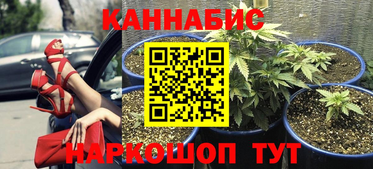 Бошки марихуана AK-47 Борзя